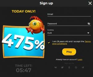 Koi Spins Casino login